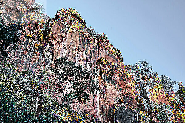 Waterberg Plateau farbige Felsformation  Namibia  Afrika