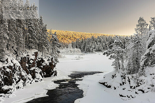 Patoniva Fluss und schneebedeckte Winterlandschaft  Oulanka National Park  Kuusamo  Finnland  Europa
