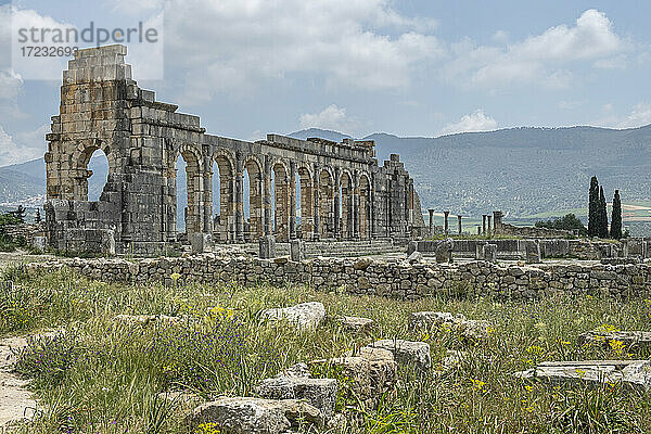 Historische Stätte der antiken römischen Ruinen von Volubilis  UNESCO-Weltkulturerbe  Marokko  Nordafrika  Afrika