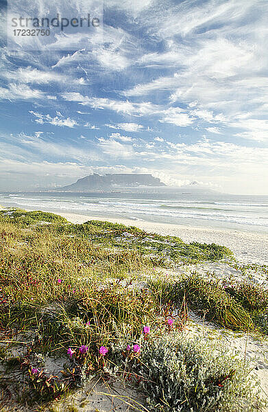 Kapstadt von Bloubergstrand  Westkap  Südafrika  Afrika