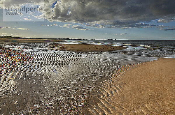 Ross Back Sands  nahe Lindisfarne  an der Nordseeküste von Northumberland  Nordostengland  Vereinigtes Königreich  Europa