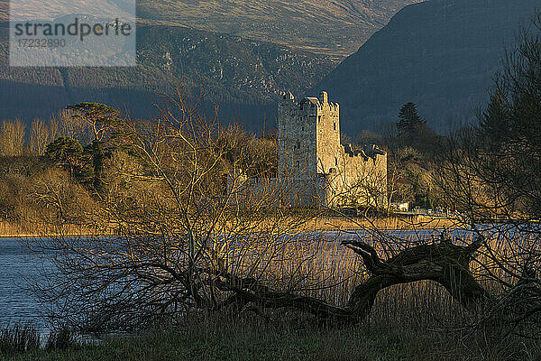 Ross Castle im Abendsonnenlicht  Killarney  County Kerry  Munster  Republik Irland  Europa