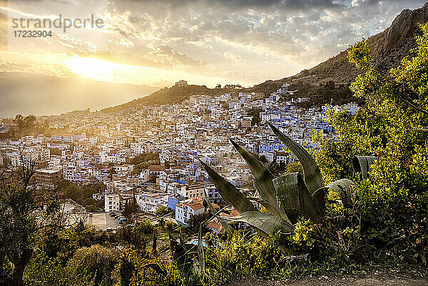 Sonnenuntergang über Chefchaouen  der blauen Stadt in Marokko  Nordafrika  Afrika