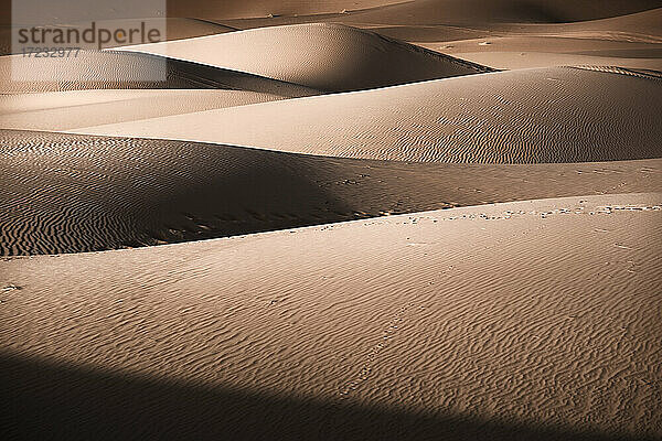 Sanddünen Details von Licht und Schatten in der Sahara-Wüste  Merzouga  Marokko  Nordafrika  Afrika