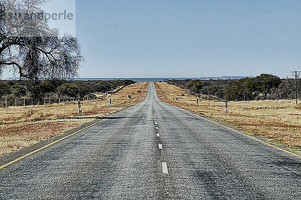 Lange Straße in der Mitte von Nirgendwo  Namibia  Afrika