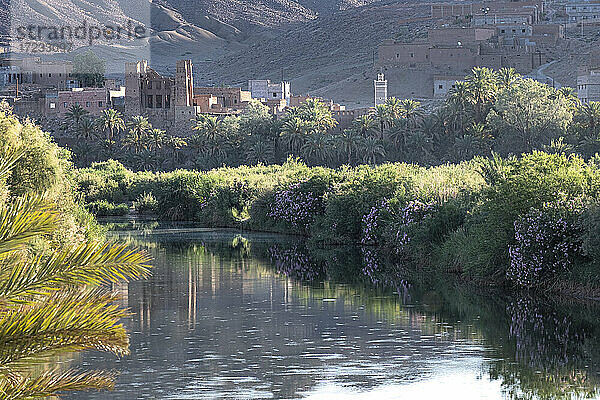 Sonnenaufgang auf einem Fluss mit einer Kasbah-Ruine Reflexion  Draa-Tal  Marokko  Nordafrika  Afrika