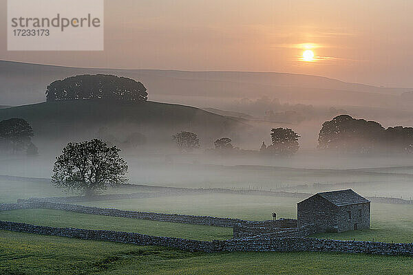 Felder und Scheune bei Sonnenaufgang  Blick nach Nordosten von Hawes  Yorkshire Dales National Park  Yorkshire  England  Vereinigtes Königreich  Europa