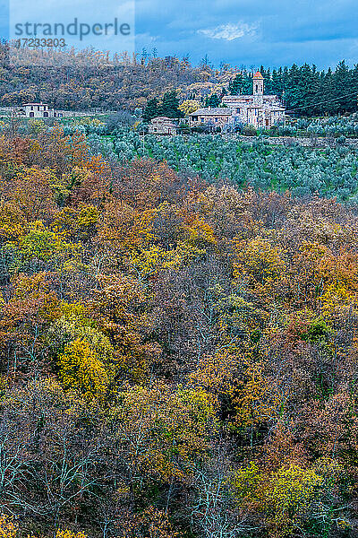 Pieve Di San Pietro A Sillano mit Olivenbäumen und Eichenwald im Vordergrund  Greve in Chianti  Toskana  Italien  Europa