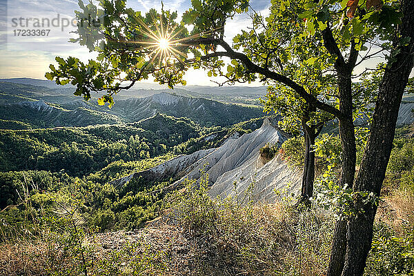 Ödland und grüne Hügel  umrahmt von Bäumen und einem Sonnenaufgang  Emilia Romagna  Italien  Europa