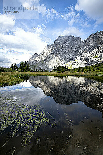 Felsiger Gipfel des Wellhorns  der sich im Sommer im Wasser spiegelt  Pass Große Scheidegg  Berner Alpen  Kanton Bern  Schweiz  Europa