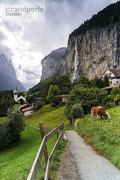 Weg durch grüne Weiden  der zum Dorf Lauterbrunnen führt  Berner Oberland  Kanton Bern  Schweiz  Europa