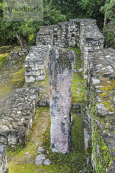 Calakmul  UNESCO-Weltkulturerbe  Campeche  Mexiko  Nordamerika