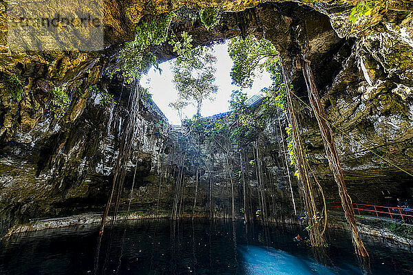 Cenote Oxmal  Valladolid  Yucatan  Mexiko  Nordamerika