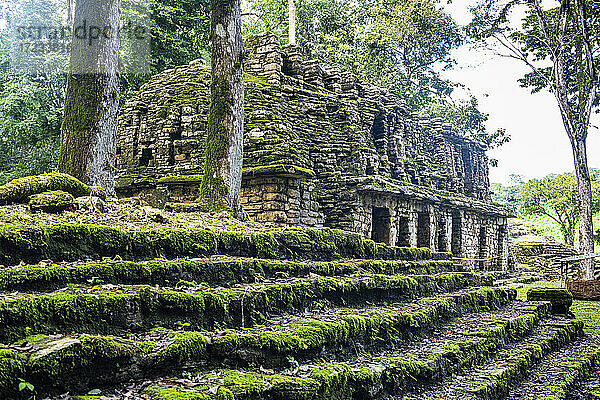 Archäologische Maya-Stätte von Yaxchilan im Dschungel von Chiapas  Mexiko  Nordamerika