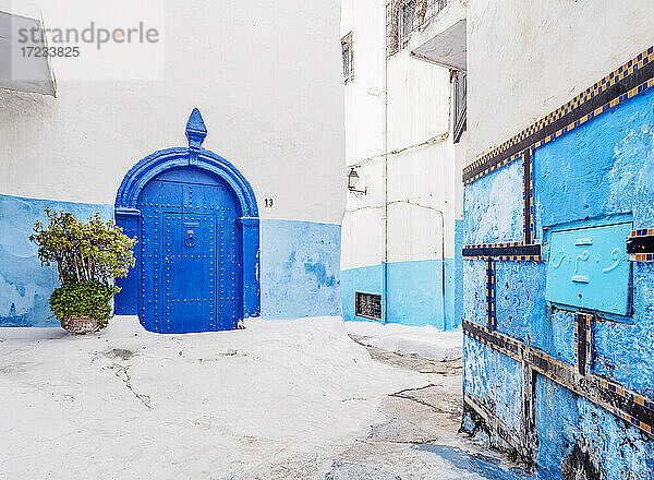 Blaue Straße in der Kasbah der Udayas  Rabat  Region Rabat-Sale-Kenitra  Marokko  Nordafrika  Afrika