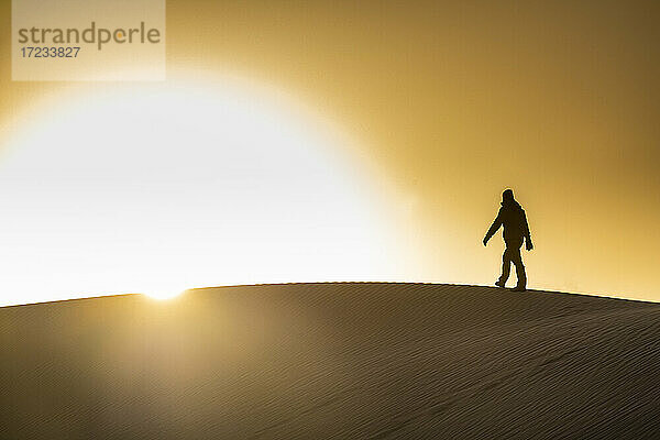 Mann geht im Gegenlicht auf einer Sanddüne  Tenere-Wüste  Niger  Westafrika  Afrika