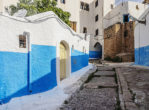 Rue Bazou  blaue Straße in der Kasbah der Udayas  Rabat  Region Rabat-Sale-Kenitra  Marokko  Nordafrika  Afrika