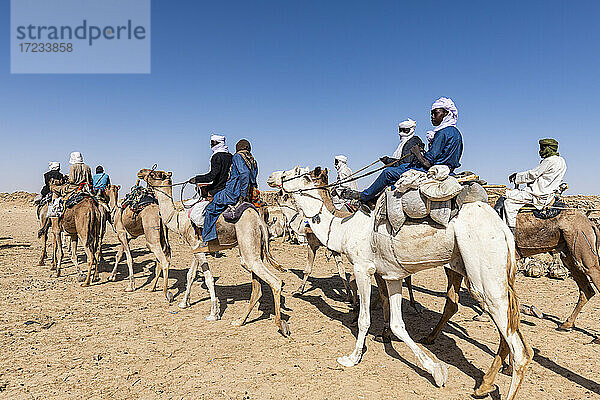 Tuaregs auf ihren Kamelen  Bilma  Tenere-Wüste  Niger  Westafrika  Afrika