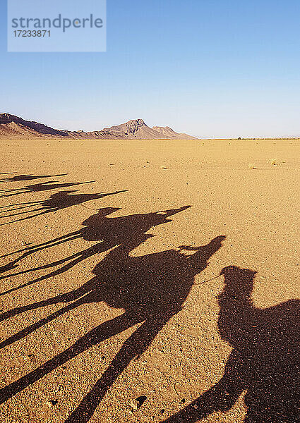 Schatten von Menschen auf Kamelen in einer Karawane in der Zagora-Wüste  Draa-Tafilalet Region  Marokko  Nordafrika  Afrika