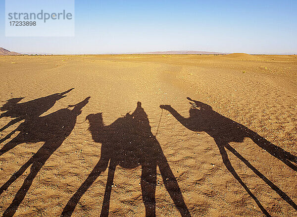 Schatten von Menschen auf Kamelen in einer Karawane in der Zagora-Wüste  Draa-Tafilalet Region  Marokko  Nordafrika  Afrika