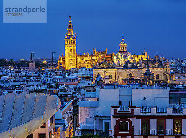 Blick vom Metropol Parasol auf die Kirche des Göttlichen Erlösers und die Kathedrale in der Abenddämmerung  Sevilla  Andalusien  Spanien  Europa