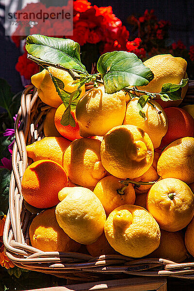 Frischer lokaler Korb mit Zitronen in Manarola in Cinque Terre  Provinz La Spezia  in der Region Ligurien in Italien  Europa
