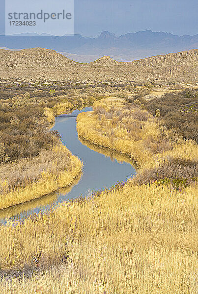 Rio Grande River in goldenen Gräsern mit Chisos Mountains im Hintergrund  Big Bend National Park  Texas  Vereinigte Staaten von Amerika  Nordamerika