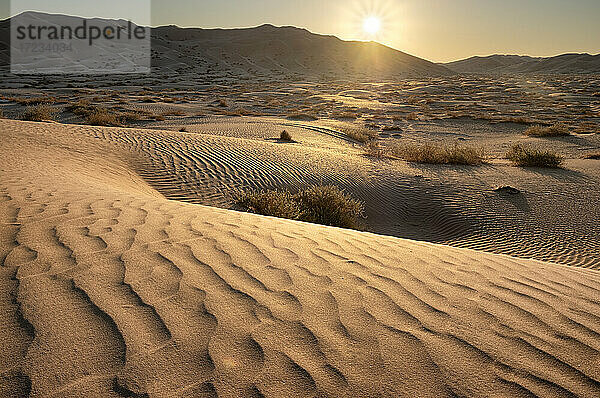 Sanddünen bei Sonnenuntergang in der Wüste Rub al Khali  Oman  Naher Osten