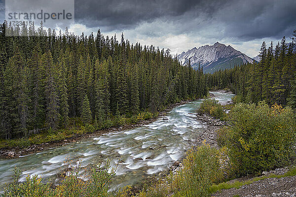 Der Maligne River schlängelt sich durch die kanadischen Rocky Mountains  Jasper National Park  UNESCO Weltkulturerbe  Alberta  Kanada  Nordamerika