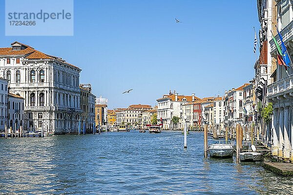 Canal Grande  Palazzo Donà und Palast Ca' Pesaro  Venedig  Venetien  Italien  Europa