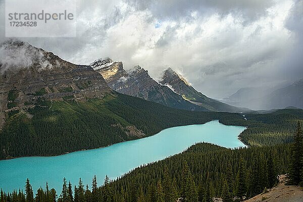 Wolken verhangene Berggipfel  türkisfarbener Gletschersee umgeben von Wald  Peyto Lake  Rocky Mountains  Banff-Nationalpark  Provinz Alberta  Kanada  Nordamerika