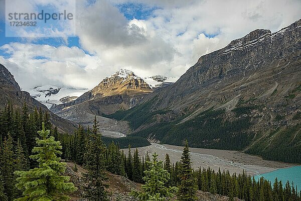 Blick ins Tal mit Gletscherfluss Peyto Creek  hinten Peyto Peak mit Gletscher  Banff National Park  kanadische Rocky Mountains  Alberta  Kanada  Nordamerika