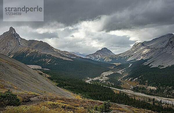 Blick auf Berge Hilda Peak  Mount Wilcox und Nigel Peak und Wilcox Pass im Herbst  Parker Ridge  Sunwapta Pass  Icefields Parkway  Jasper National Park Nationalpark  Canadian Rocky Mountains  Alberta  Kanada  Nordamerika