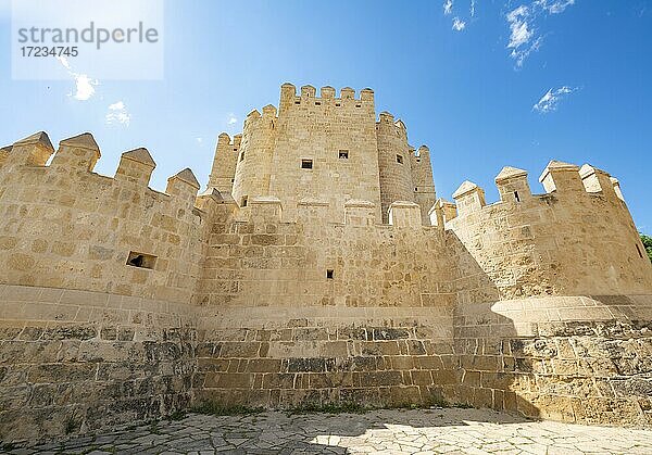 Turm der Puente Romano  Römische Brücke über Rio Guadalquivir  Cordoba  Andalusien  Spanien  Europa