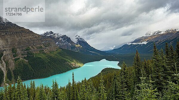 Wolken verhangene Berggipfel  türkisfarbener Gletschersee umgeben von Wald  Peyto Lake  Rocky Mountains  Banff-Nationalpark  Provinz Alberta  Kanada  Nordamerika