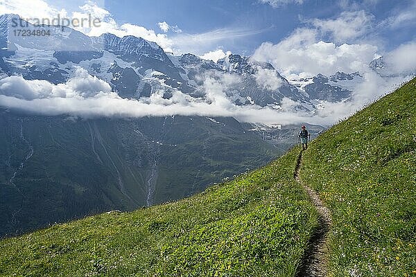 Wanderer auf einem Wanderweg  hinten Breithorn und Tschingelhorn  Berner Alpen  Berner Oberland  Lauterbrunnen  Schweiz  Europa