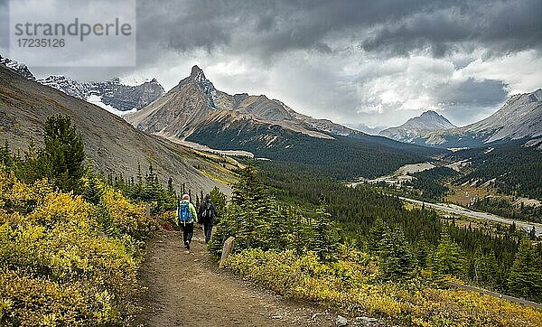 Zwei Wanderer zwischen herbstlichen Büschen  Ausblick auf Sunwapta Pass  Berglandschaft und Gletscher im Herbst  Berge Hilda Peak und Mount Wilcox  Parker Ridge  Icefields Parkway  Jasper National Park Nationalpark  Canadian Rocky Mountains  Alberta  Kanada  Nordamerika