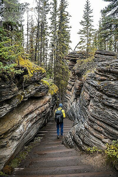 Wanderer auf Weg zwischen Pancake Sandsteinen  Athabasca Gorge  Jasper National Park  Alberta  Kanada  Nordamerika