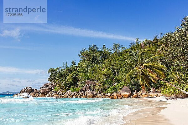 Anse Georgette Strand Palme Meer Wasser  Praslin  Seychellen  Afrika