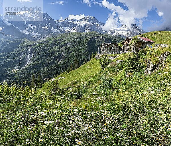 Berghotel Obersteinberg  Lauterbrunnen  Berner Alpen  Berner Oberland  Schweiz  Europa