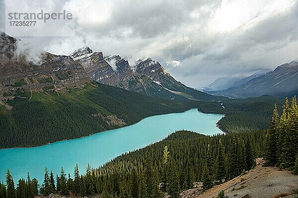 Wolken verhangene Berggipfel  türkisfarbener Gletschersee umgeben von Wald  Peyto Lake  Rocky Mountains  Banff-Nationalpark  Provinz Alberta  Kanada  Nordamerika