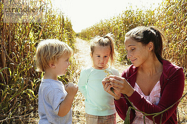Mutter mit zwei Kindern auf einem Feld mit Feldfrüchten