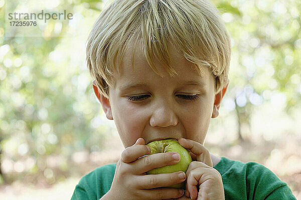 Porträt eines Jungen  der einen grünen Apfel auf einer Obstfarm isst