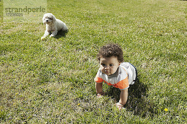 Kind krabbelt auf Gras  Hund im Hintergrund