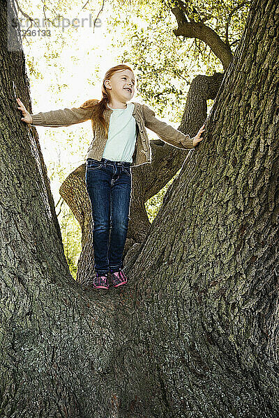 Porträt eines Mädchens  das vom Baum blickt