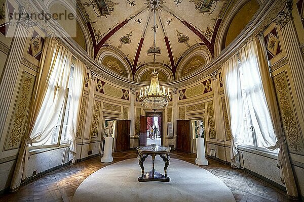 Prachtvoller historischer Raum mit Kuppel  Museo Correr  Venedig  Venetien  Italien  Europa