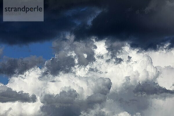 Dramatischer Wolkenhimmel kurz vor Gewitter  Schleswig-Holstein  Deutschland  Europa