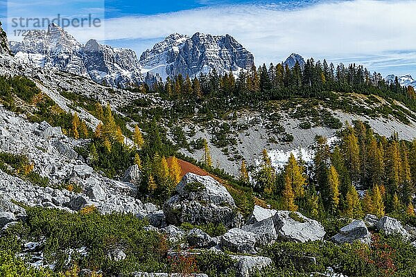 Herbstliche Landschaft mit Dolomiten Gipfeln  Zoldo Alto  Val di Zoldo  Dolomiten  Italien  Europa