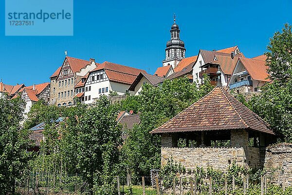 Stadtbild mit historischer Stadtmauer und Sankt Martin Kirche  Gochsheim  Baden-Württemberg  Deutschland  Europa