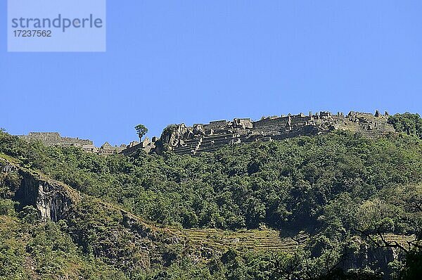 Blick vom Urubamba Tal zur Ruinenstadt der Inka  Machu Picchu  Provinz Urubamba  Peru  Südamerika